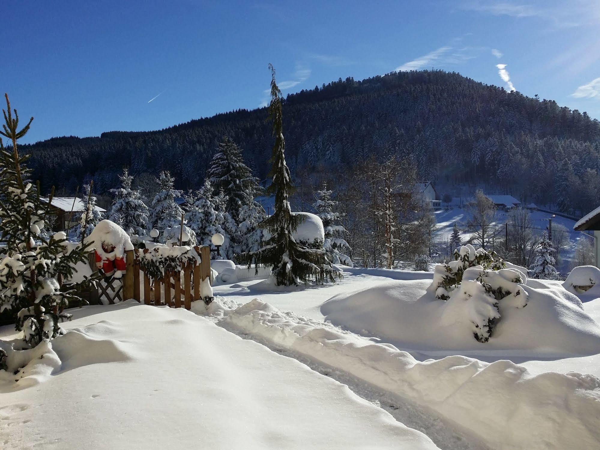 Chambres d'hôtes La Devinière Wellness et Spa Xonrupt-Longemer Esterno foto